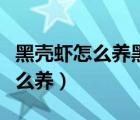 黑壳虾怎么养黑壳虾养殖注意事项（黑壳虾怎么养）