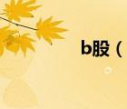 b股（说一说b股的简介）