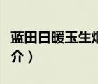蓝田日暖玉生烟（说一说蓝田日暖玉生烟的简介）