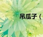 吊瓜子（说一说吊瓜子的简介）