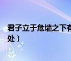 君子立于危墙之下有所为有所不为（君子有所为有所不为出处）
