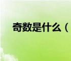 奇数是什么（说一说奇数是什么的简介）