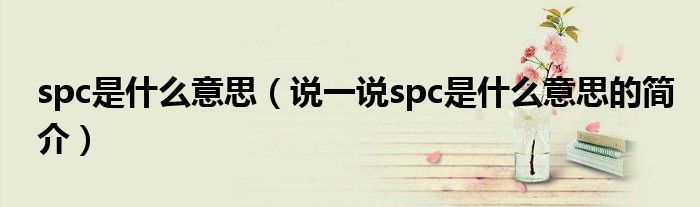 spc是什么意思（说一说spc是什么意思的简介）