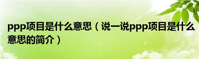 ppp项目是什么意思（说一说ppp项目是什么意思的简介）