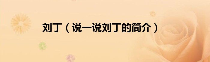 刘丁（说一说刘丁的简介）