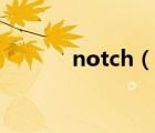notch（说一说notch的简介）