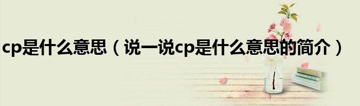cp是什么意思（说一说cp是什么意思的简介）