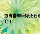 致青春原来你还在这里（说一说致青春原来你还在这里的简介）