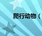 爬行动物（说一说爬行动物的简介）