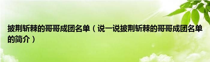披荆斩棘的哥哥成团名单（说一说披荆斩棘的哥哥成团名单的简介）