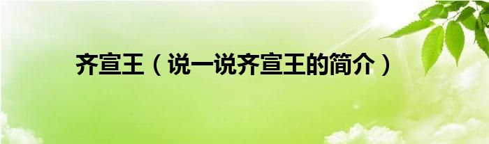 齐宣王（说一说齐宣王的简介）
