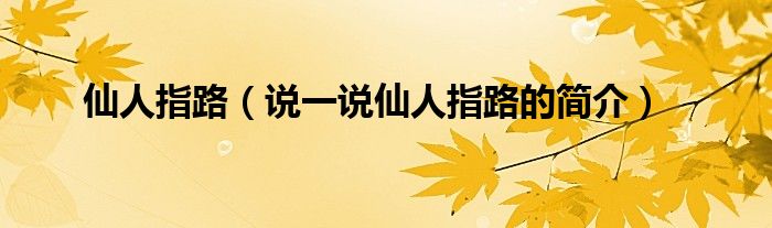仙人指路（说一说仙人指路的简介）