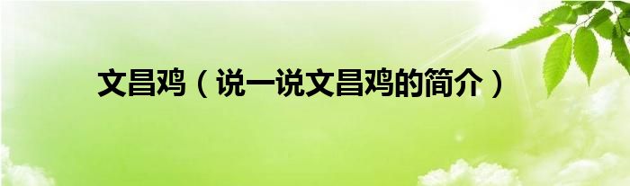 文昌鸡（说一说文昌鸡的简介）