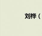 刘桦（说一说刘桦的简介）