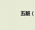 五脏（说一说五脏的简介）