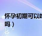 怀孕初期可以吃阿胶吗（怀孕初期可以吃荔枝吗）