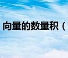 向量的数量积（说一说向量的数量积的简介）