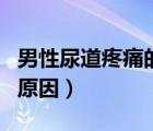 男性尿道疼痛的原因引起的（男性尿道疼痛的原因）