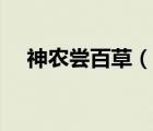 神农尝百草（说一说神农尝百草的简介）