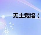 无土栽培（说一说无土栽培的简介）
