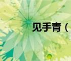 见手青（说一说见手青的简介）