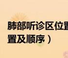 肺部听诊区位置及顺序示意图（肺部听诊区位置及顺序）