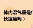 体内湿气重是什么原因引起的（体内湿气重会长痘痘吗）