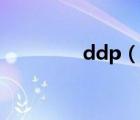 ddp（说一说ddp的简介）