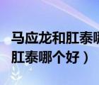 马应龙和肛泰哪个好可以自己买吗（马应龙和肛泰哪个好）