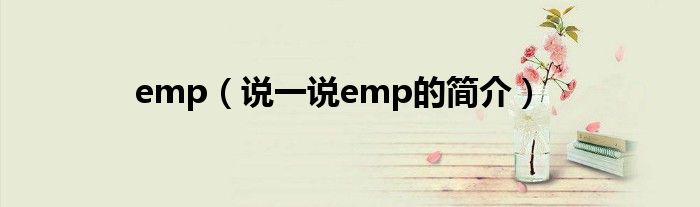 emp（说一说emp的简介）