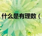 什么是有理数（说一说什么是有理数的简介）