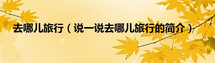 去哪儿旅行（说一说去哪儿旅行的简介）