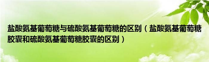 盐酸氨基葡萄糖与硫酸氨基葡萄糖的区别（盐酸氨基葡萄糖胶囊和硫酸氨基葡萄糖胶囊的区别）