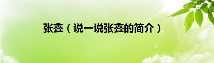 张鑫（说一说张鑫的简介）