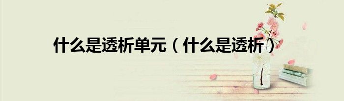 什么是透析单元（什么是透析）