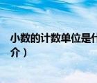 小数的计数单位是什么（说一说小数的计数单位是什么的简介）