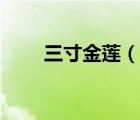 三寸金莲（说一说三寸金莲的简介）