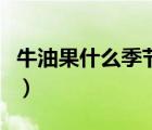牛油果什么季节吃最好（宝宝吃牛油果的禁忌）