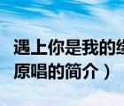 遇上你是我的缘原唱（说一说遇上你是我的缘原唱的简介）
