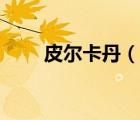 皮尔卡丹（说一说皮尔卡丹的简介）
