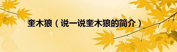 奎木狼（说一说奎木狼的简介）