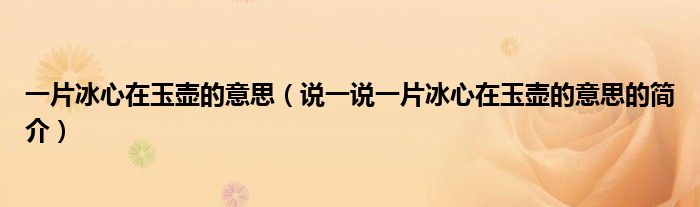 一片冰心在玉壶的意思（说一说一片冰心在玉壶的意思的简介）