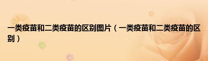 一类疫苗和二类疫苗的区别图片（一类疫苗和二类疫苗的区别）