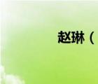 赵琳（说一说赵琳的简介）