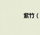 紫竹（说一说紫竹的简介）