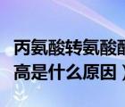 丙氨酸转氨酸酶高是怎么回事（丙氨酸转氨酶高是什么原因）