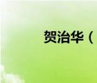 贺治华（说一说贺治华的简介）