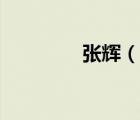 张辉（说一说张辉的简介）
