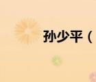 孙少平（说一说孙少平的简介）