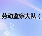 劳动监察大队（说一说劳动监察大队的简介）
